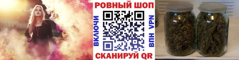 Псилоцибиновые грибы Верхняя Пышма