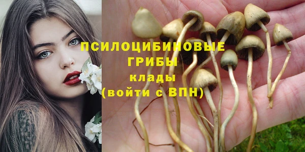 мяу мяу мука Белокуриха