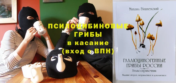 мяу мяу мука Белокуриха