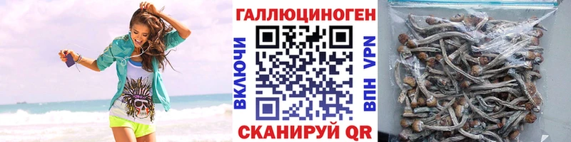 MEGA ONION  Верхняя Пышма  Псилоцибиновые грибы GOLDEN TEACHER  магазин  наркотиков 